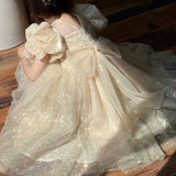 【新作早割2/17まで】ラメパフスリーブドレス02810